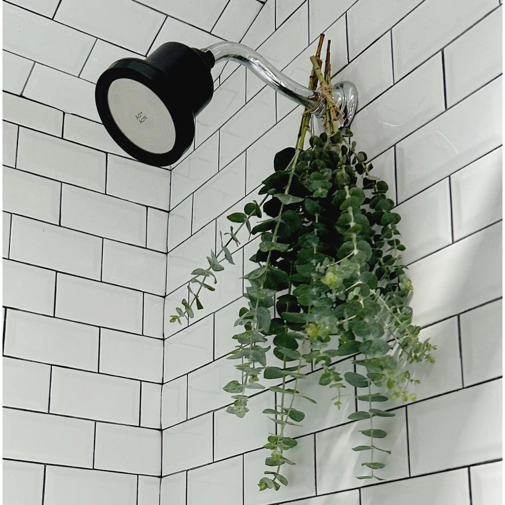 Act+Acre Showerhead Filter 12 Act+Acre Showerhead Filter